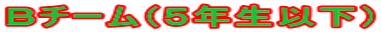 �a�`�[���i�T�N���ȉ��j 